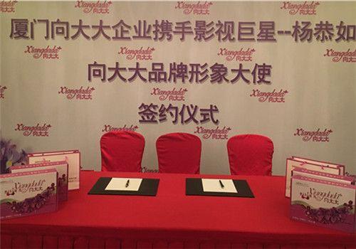 品牌代言新高度：杨恭如的多元价值如何赋能向大大品牌破圈